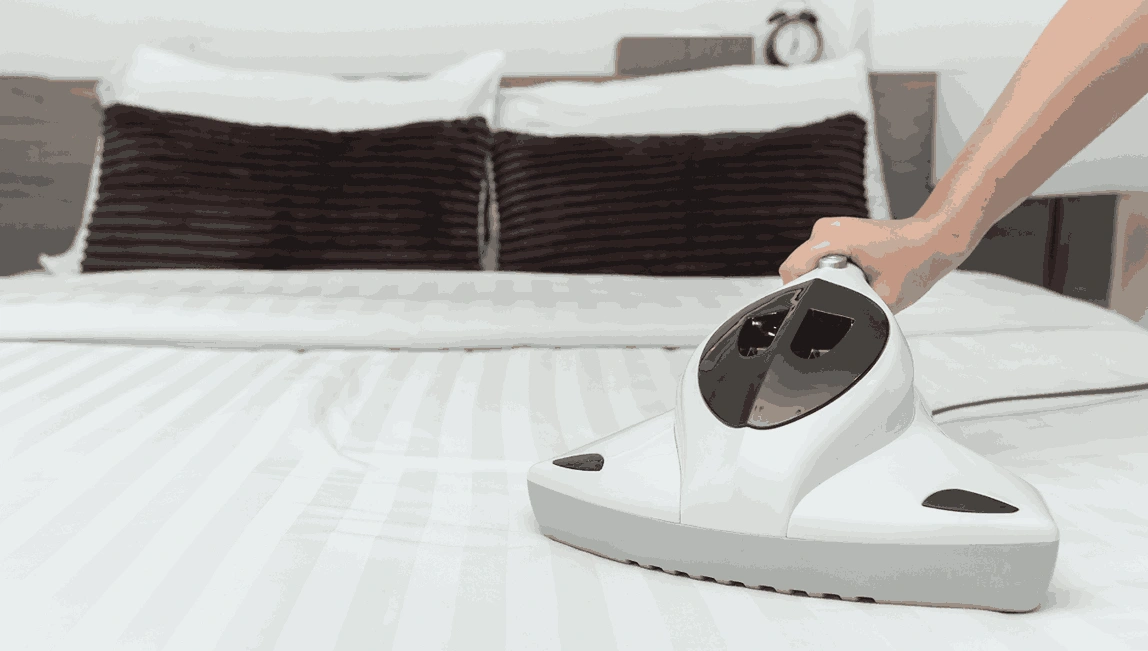 Professional Mattress Cleaning Mannerim
